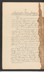 Nachlass Franz Steindachner, Prospect der Adria-Commission (Mai 1874), Inv.Nr. 4.01, Seite 12
